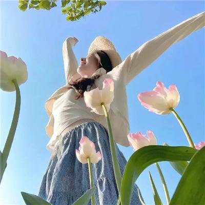 波普先生的企鹅